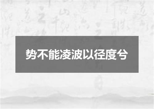 势不能凌波以径度兮