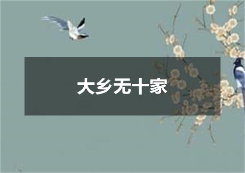 大乡无十家
