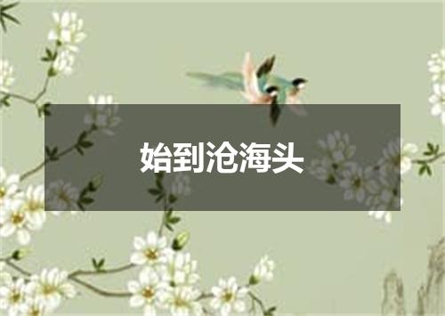 始到沧海头