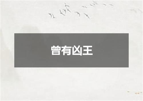 曾有凶王