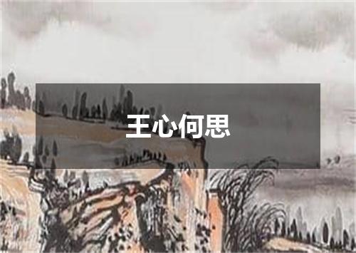 王心何思