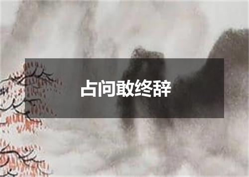 占问敢终辞