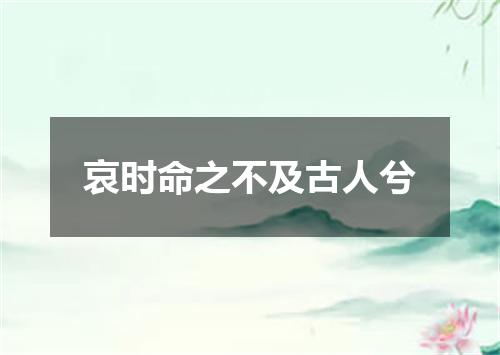哀时命之不及古人兮