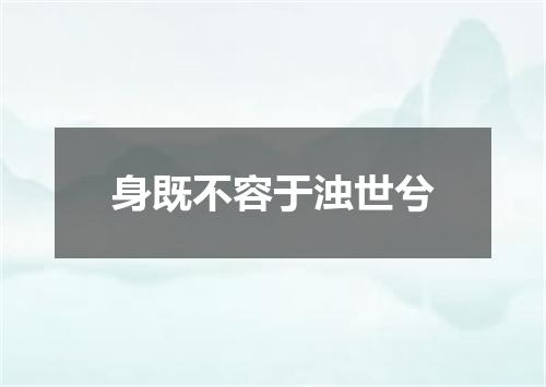 身既不容于浊世兮