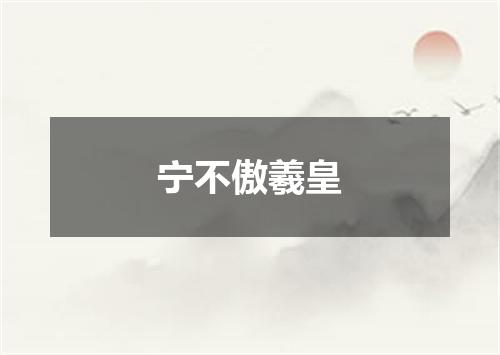 宁不傲羲皇