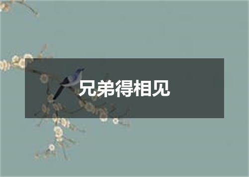 兄弟得相见