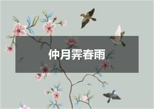 仲月霁春雨