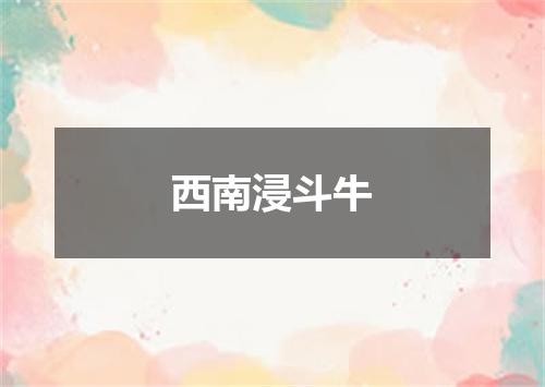 西南浸斗牛