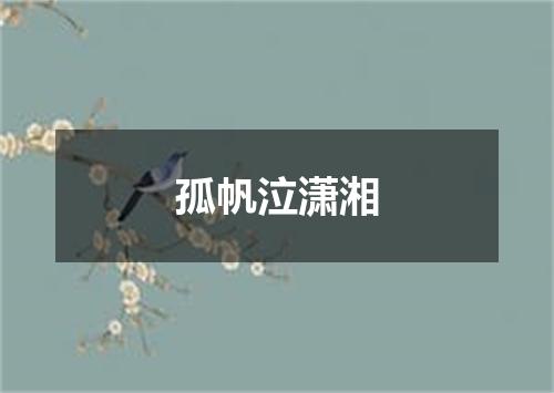 孤帆泣潇湘