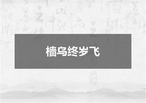 樯乌终岁飞