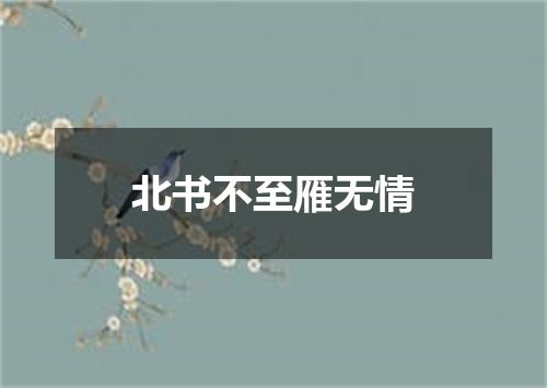 北书不至雁无情