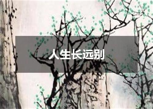 人生长远别