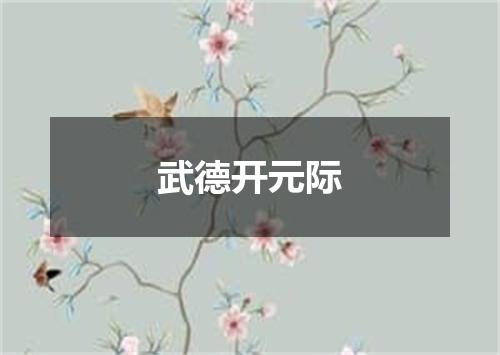 武德开元际