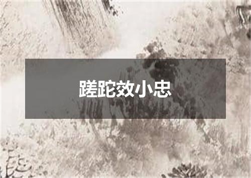 蹉跎效小忠