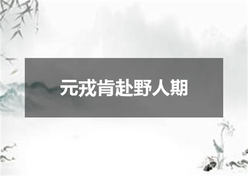 元戎肯赴野人期