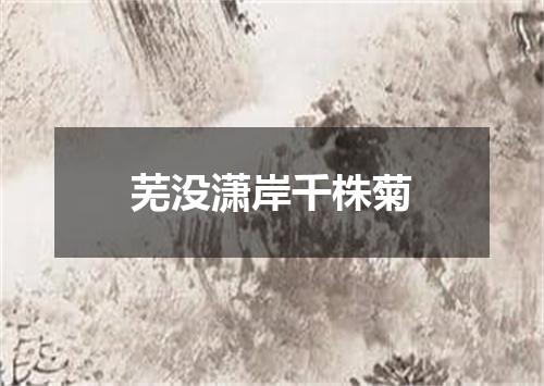 芜没潇岸千株菊
