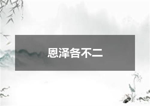 恩泽各不二