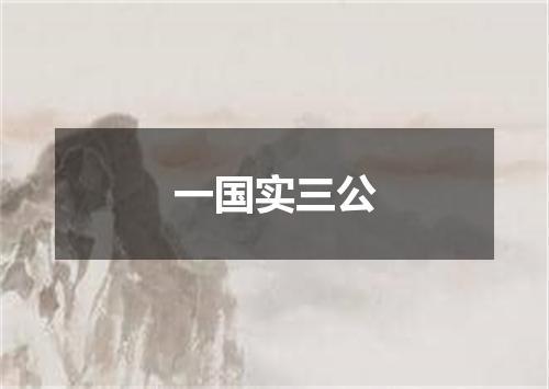 一国实三公