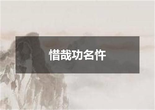 惜哉功名忤