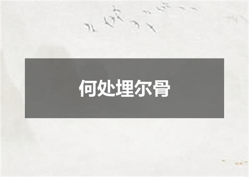何处埋尔骨