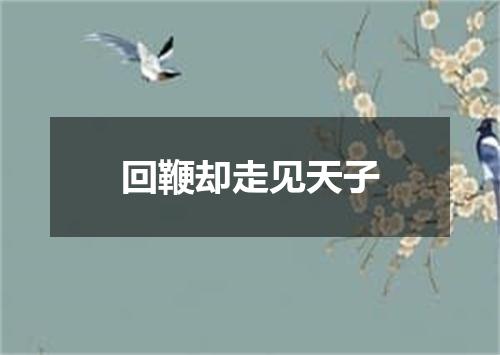 回鞭却走见天子