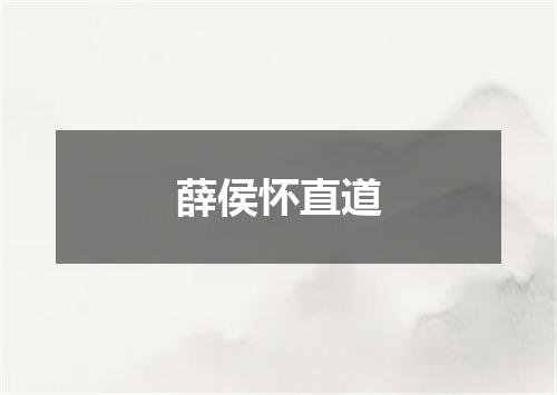 薛侯怀直道