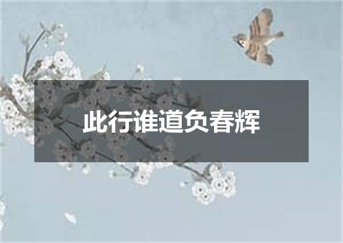 此行谁道负春辉