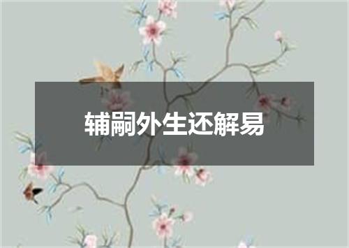 辅嗣外生还解易
