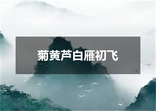 菊黄芦白雁初飞