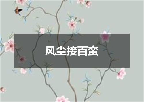 风尘接百蛮