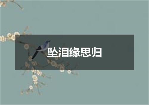 坠泪缘思归