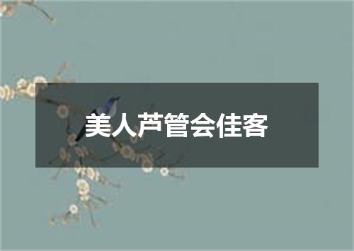 美人芦管会佳客