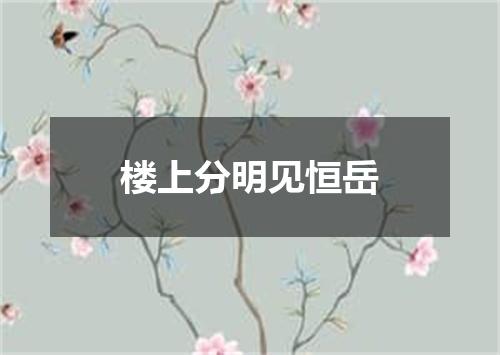 楼上分明见恒岳