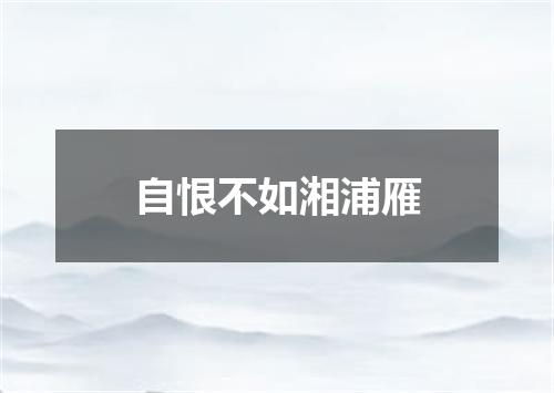 自恨不如湘浦雁