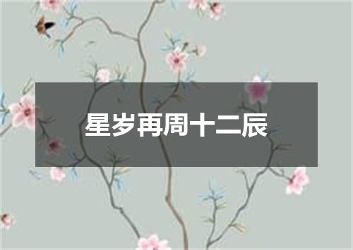 星岁再周十二辰