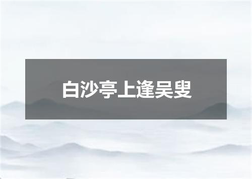 白沙亭上逢吴叟