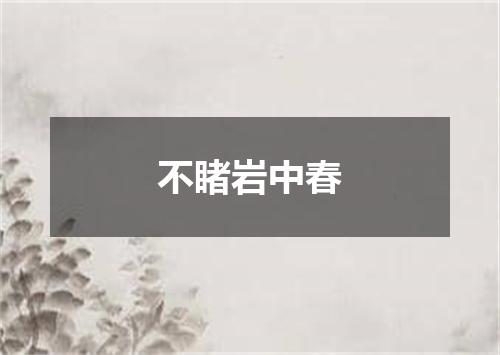 不睹岩中春