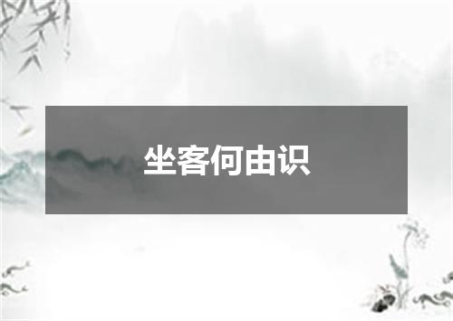 坐客何由识