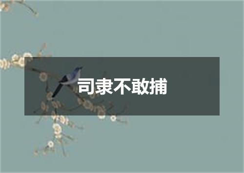 司隶不敢捕
