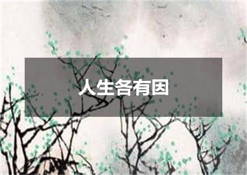 人生各有因
