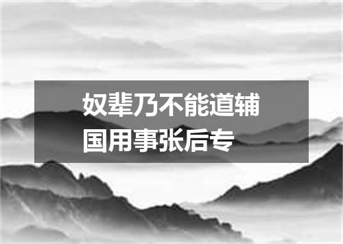 奴辈乃不能道辅国用事张后专