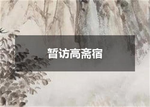 暂访高斋宿