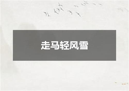 走马轻风雪