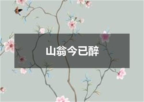 山翁今已醉