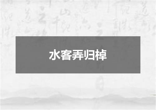水客弄归棹