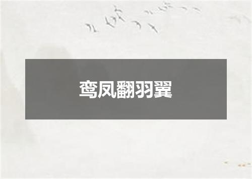 鸾凤翻羽翼