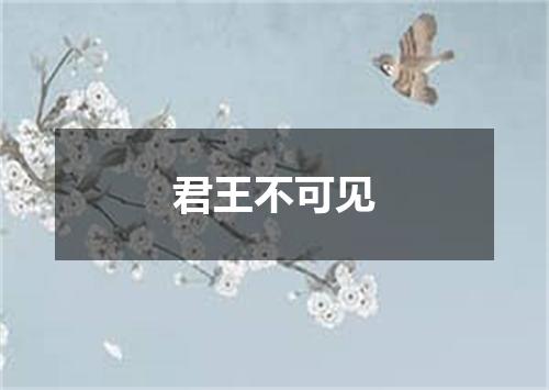 君王不可见