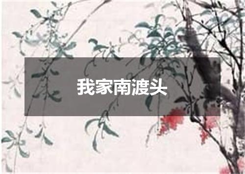 我家南渡头