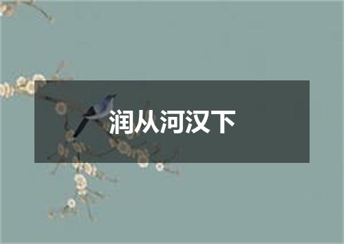 润从河汉下
