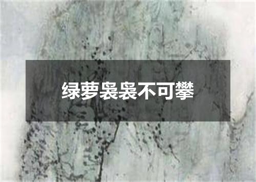 绿萝袅袅不可攀